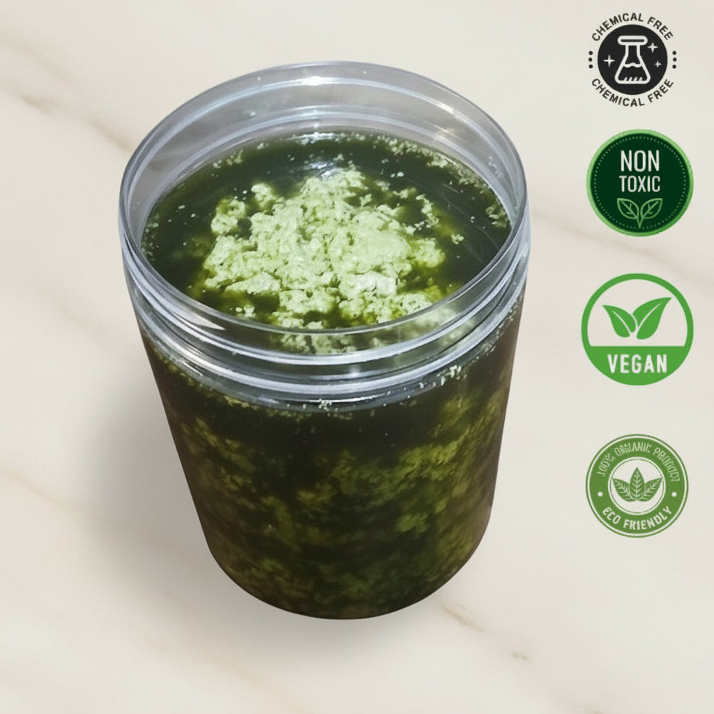 Moringa Hair Growth Mask – Deep Repair, Moisturizing & Scalp Care, 500mls