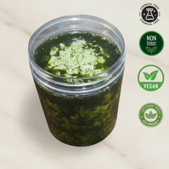 Moringa Hair Growth Mask – Deep Repair, Moisturizing & Scalp Care, 500mls